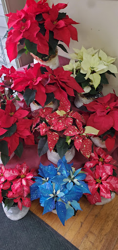 Garden Center «Royal Victorian Garden Center», reviews and photos, 10911 State Rd, Cleveland, OH 44133, USA