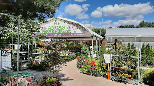 Anga's Farm & Nursery