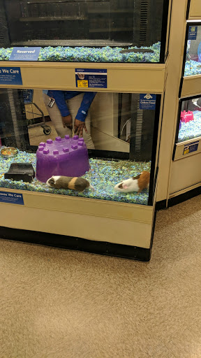 Pet Supply Store «PetSmart», reviews and photos, 730 S Sepulveda Blvd, El Segundo, CA 90245, USA