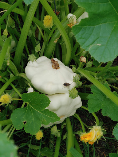 Water Park «The Splash Pad», reviews and photos, 1101 M.L.K. Jr Dr, Kingsport, TN 37660, USA