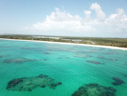 Foto von Double Bay beach wilde gegend