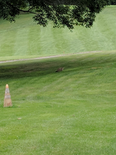 Golf Course «Gunpowder Golf Course», reviews and photos, 14300 Old Gunpowder Rd, Laurel, MD 20707, USA