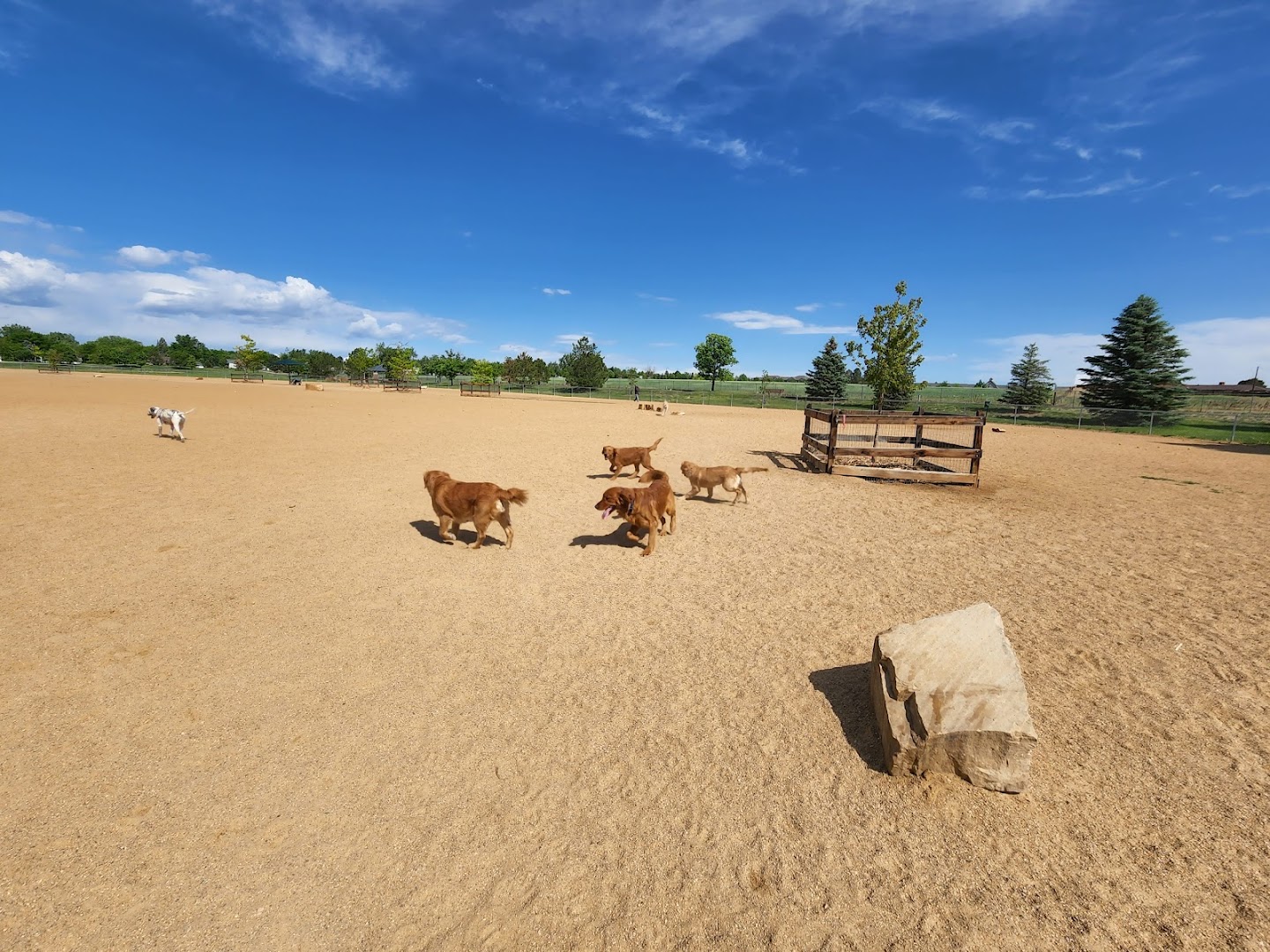 Broomfield Commons Dog Park