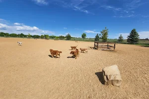 Broomfield Commons Dog Park image