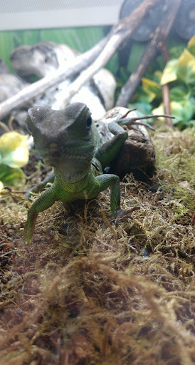 Pet Supply Store «PetSmart», reviews and photos, 320 2nd St S, Waite Park, MN 56387, USA