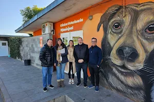 clinica veterinaria municipal image