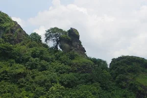 Gunung Joko Budheg/G. Cikrak image