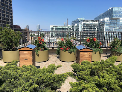 Alvéole | Urban Beekeeping Toronto