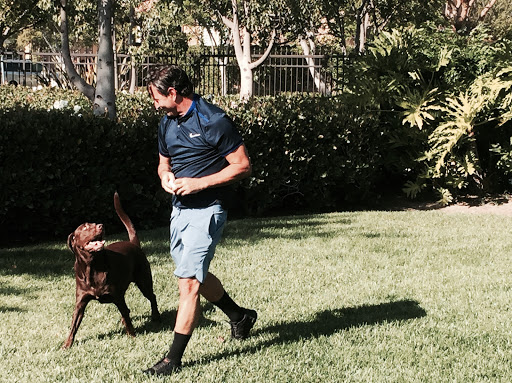 Painter «Ron Romero & Son Painting», reviews and photos, 1311 Cte Maltera, Costa Mesa, CA 92626, USA