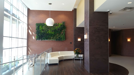 Estate Planning Attorney «American Wills & Estates», reviews and photos