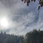 Photo n°2 de l'avis de alberto.a fait le 02/11/2022 à 17:40 sur le  Ristorante dalla Fernanda à Bagno di Romagna