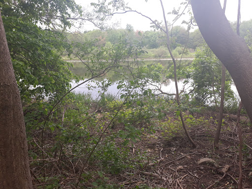 Park «Millennium Park», reviews and photos, 300 Gardner Street, West Roxbury, MA 02132, USA