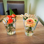 Photo n°3 de l'avis de Micha.a fait le 07/04/2023 à 15:49 sur le  Gasthof Zum Lindental à Pirna