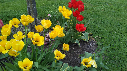 Park «Alberta Park», reviews and photos, 1905 NE Killingsworth St, Portland, OR 97211, USA