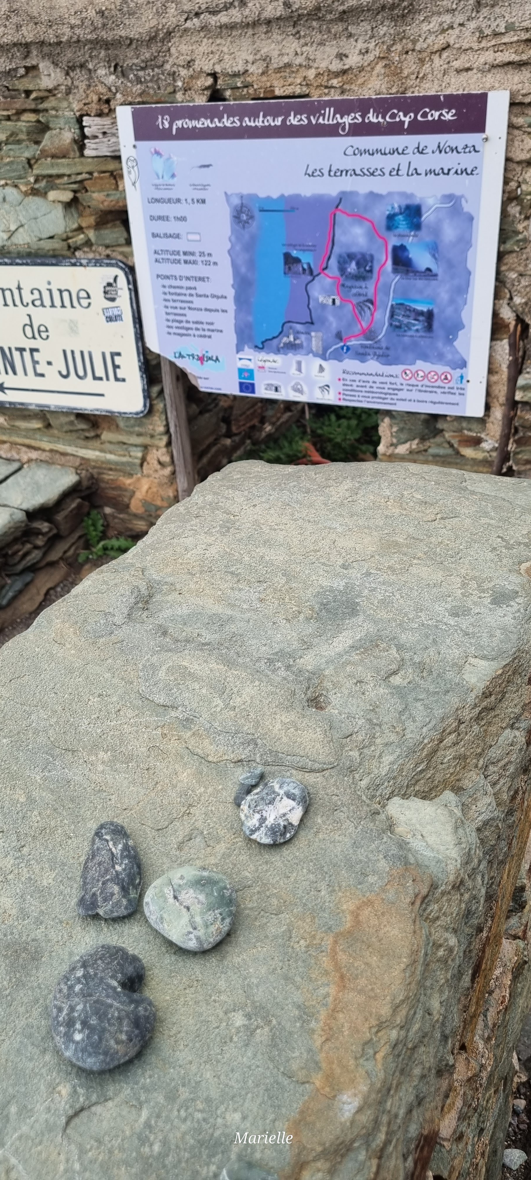 Photo n° 3 de l'avis de Marielle. fait le 30/10/2023 à 07:52