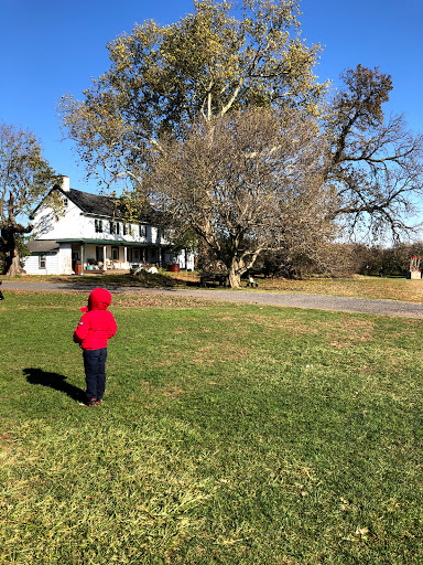 Produce Market «Solly Brothers», reviews and photos, 707 Almshouse Rd, Warminster, PA 18974, USA