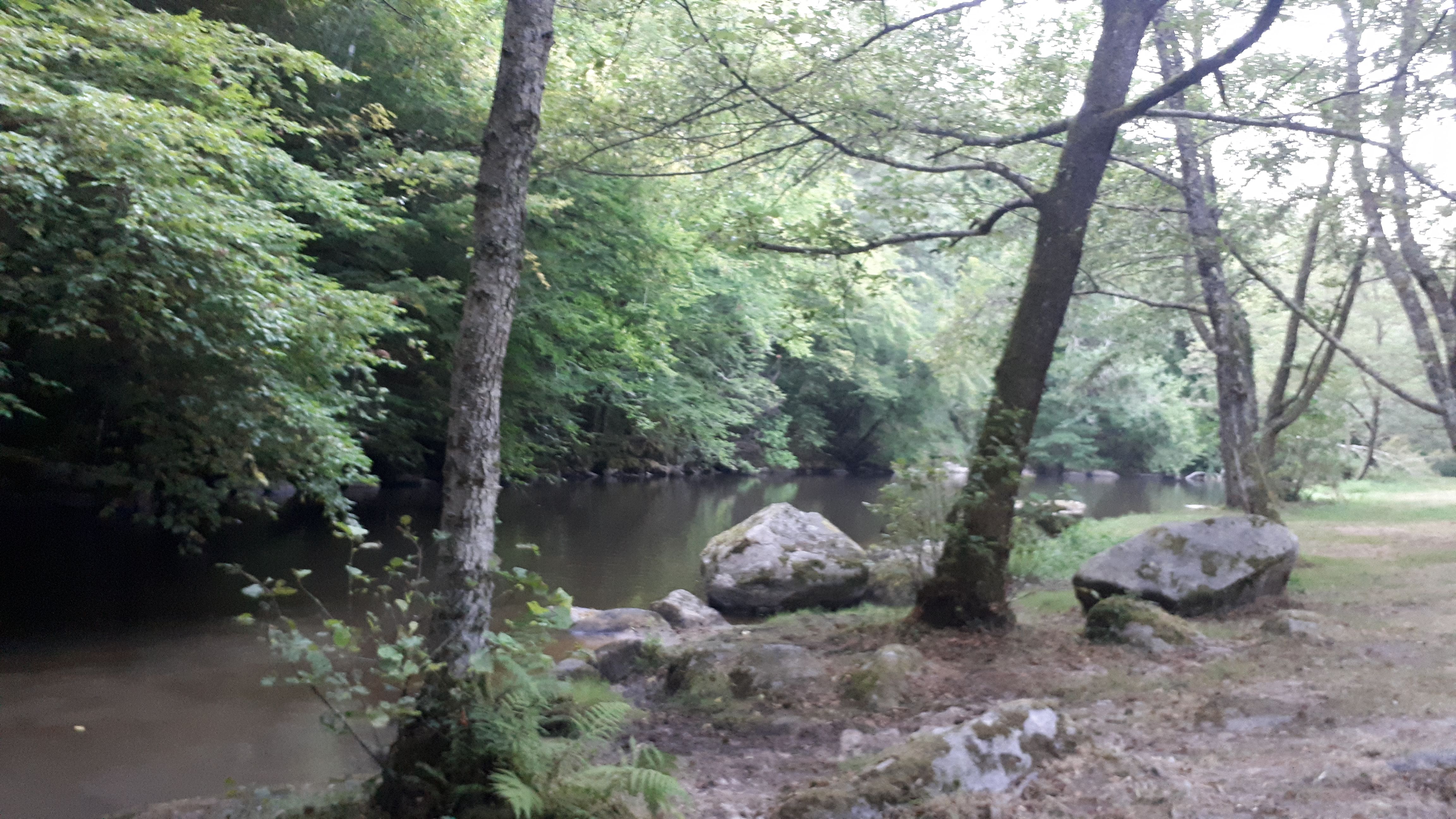 Photo n° 2 de l'avis de Philippe.e fait le 22/03/2019 à 18:32