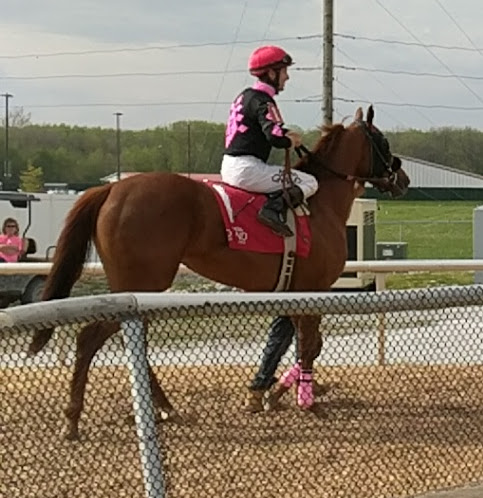 Casino «Indiana Grand Racing & Casino», reviews and photos, 4300 N Michigan Rd, Shelbyville, IN 46176, USA