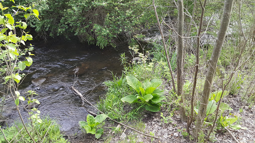 Nature Preserve «Jackson Bog State Nature Preserve», reviews and photos, 7984 Fulton Dr NW, Massillon, OH 44646, USA