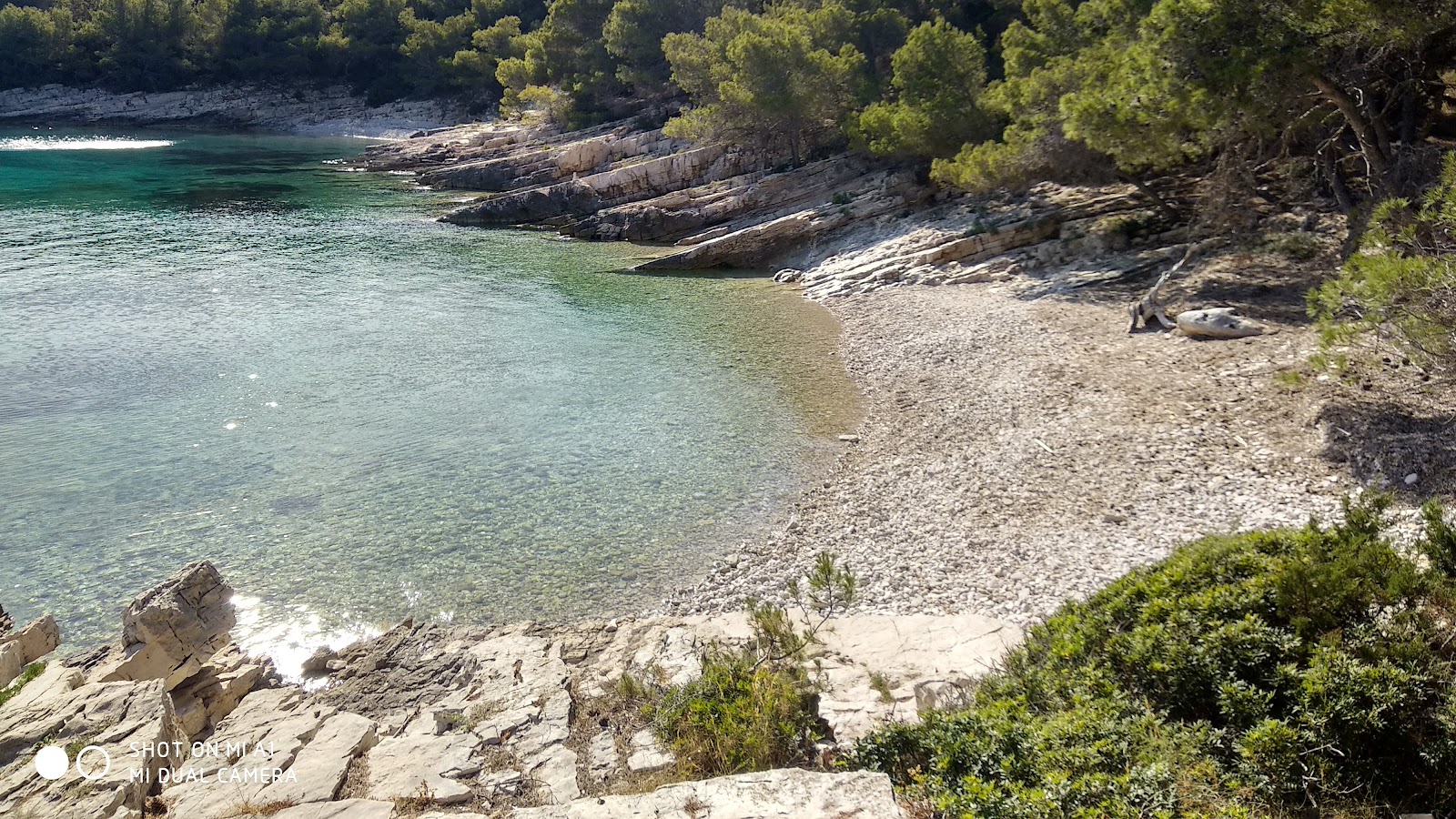 Photo de Uvala Drazevica - endroit populaire parmi les connaisseurs de la détente
