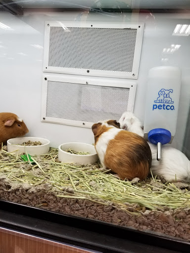Pet Supply Store «Petco Animal Supplies», reviews and photos, 9078 SE Sunnyside Rd, Clackamas, OR 97015, USA