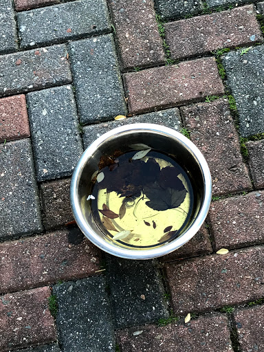 Coffee Shop «Aromas», reviews and photos, 706 Town Center Dr, Newport News, VA 23606, USA