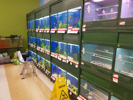 Pet Supply Store «Pet Supplies Plus», reviews and photos, 1960 Jericho Turnpike, East Northport, NY 11731, USA