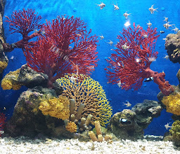 Rayong Aquarium photo