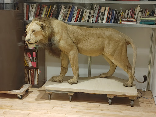 Modern Art Museum «The Andy Warhol Museum», reviews and photos, 117 Sandusky St, Pittsburgh, PA 15212, USA