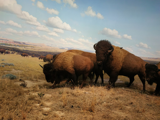 National Park «Castle Clinton National Monument», reviews and photos, Battery Park, New York, NY 10004, USA