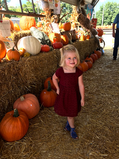 Boutique «Flirt Boutique», reviews and photos, 625 Main St, Rochester, IN 46975, USA