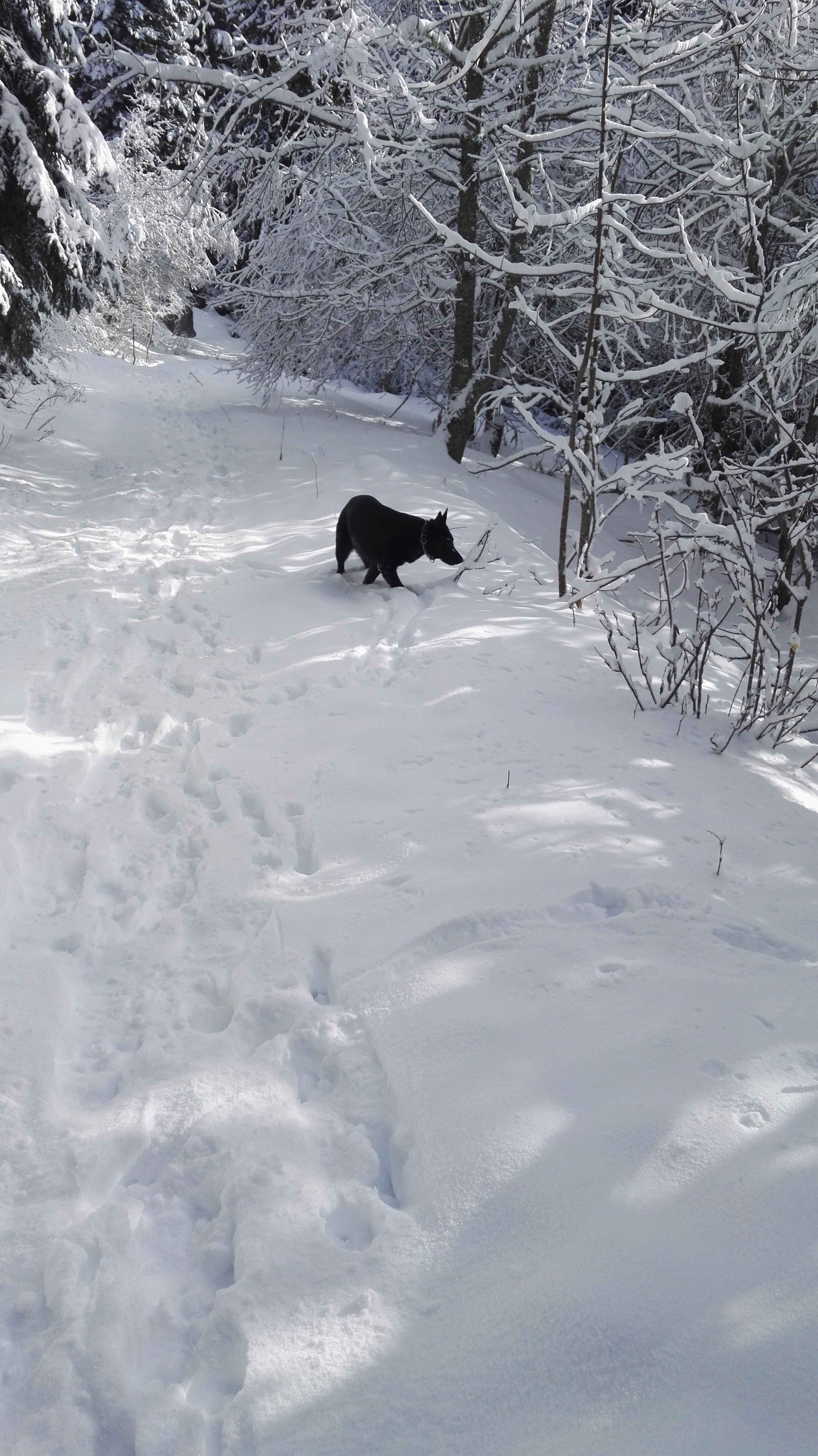 Photo n° 4 de l'avis de Christophe.e fait le 23/01/2019 à 10:05