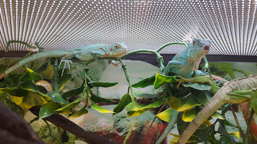 Pet Supply Store «Petco Animal Supplies», reviews and photos, 1203 SE Everett Mall Way f, Everett, WA 98208, USA