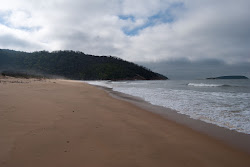 Photo of Five Mile Beach with very clean level of cleanliness