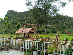 Phong Nha Rice Field Homestay