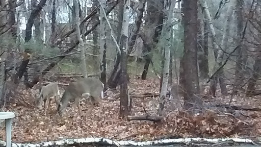 Grocery Store «Brant Rock Market», reviews and photos, 24 Dyke Rd, Marshfield, MA 02050, USA
