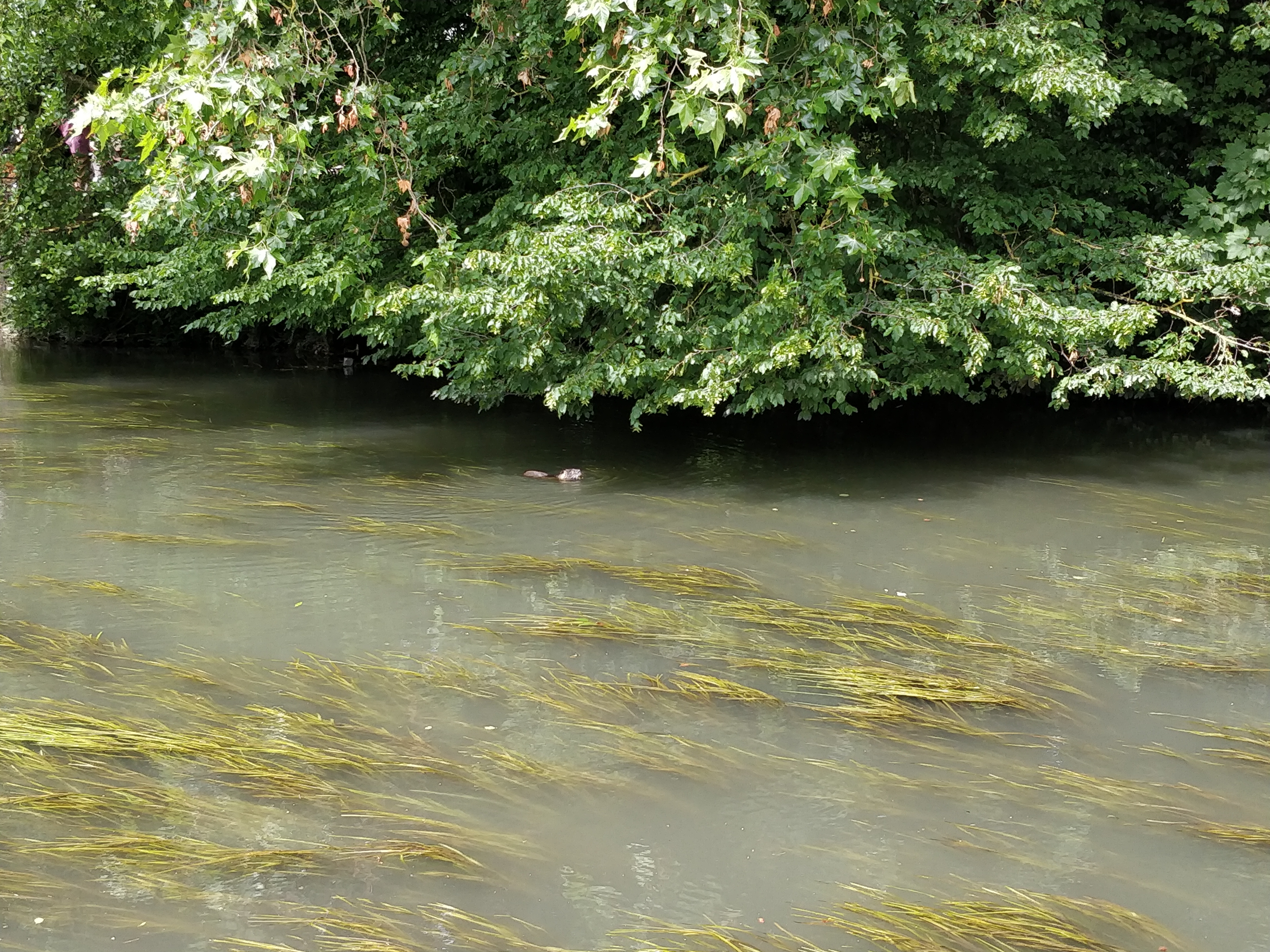 Photo n° 12 de l'avis de Be.a fait le 29/06/2019 à 08:30