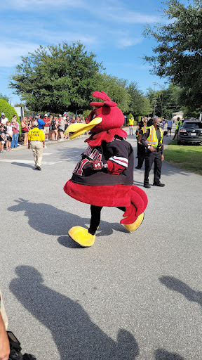 Stadium «Williams-Brice Stadium», reviews and photos, 1125 George Rogers Blvd, Columbia, SC 29201, USA