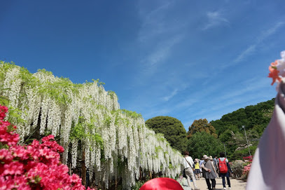 足利公園