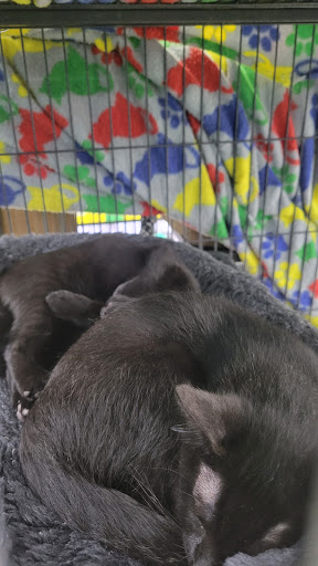 Pet Supply Store «Pet Supplies Plus», reviews and photos, 5708 State St, Saginaw, MI 48603, USA