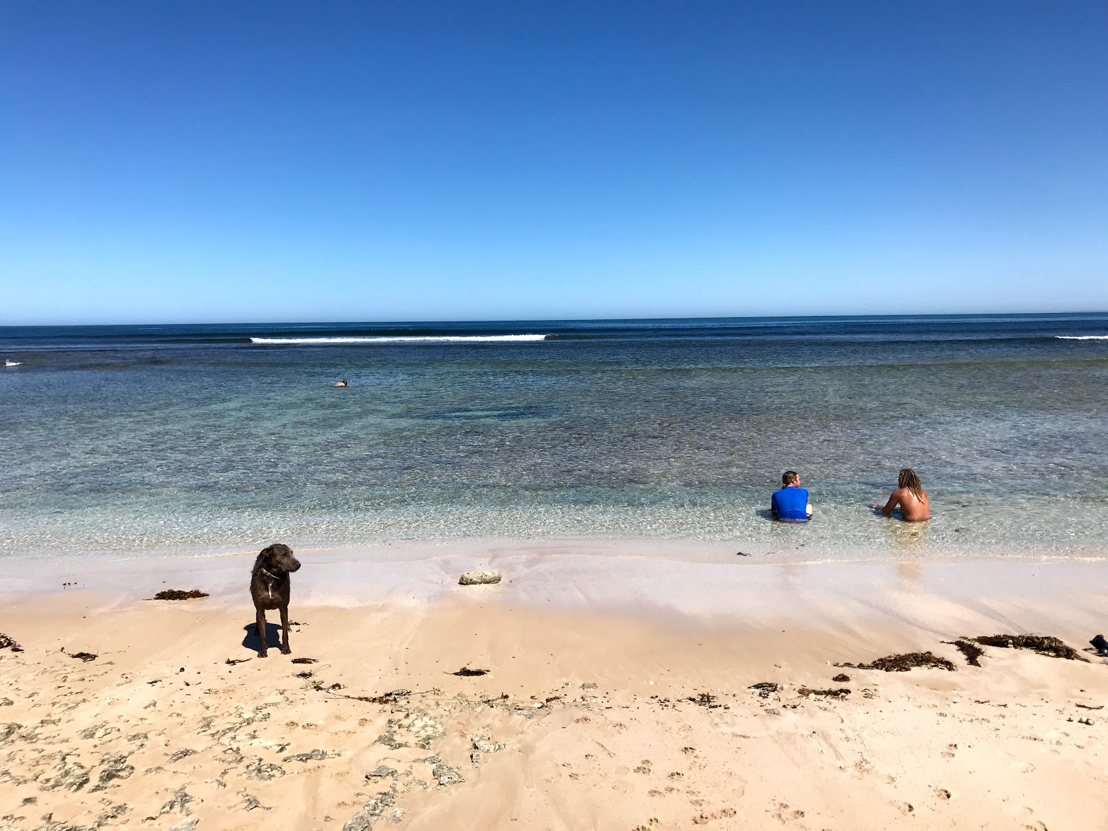 Fotografija Cactus Beach z modra čista voda površino