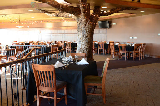 Golf Course «Tournament Club of Iowa», reviews and photos, 1000 Tradition Dr, Polk City, IA 50226, USA