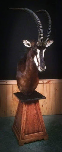 Taxidermist «HighPoint Taxidermy And Outfutters», reviews and photos, 14860 OH-13, Thornville, OH 43076, USA