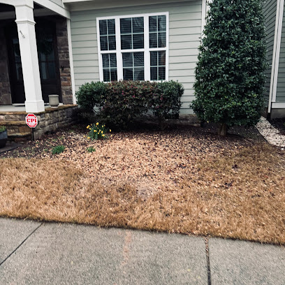 Tree M Removal