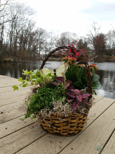 Florist «Denville Florist», reviews and photos, 299 US-46, Denville, NJ 07834, USA