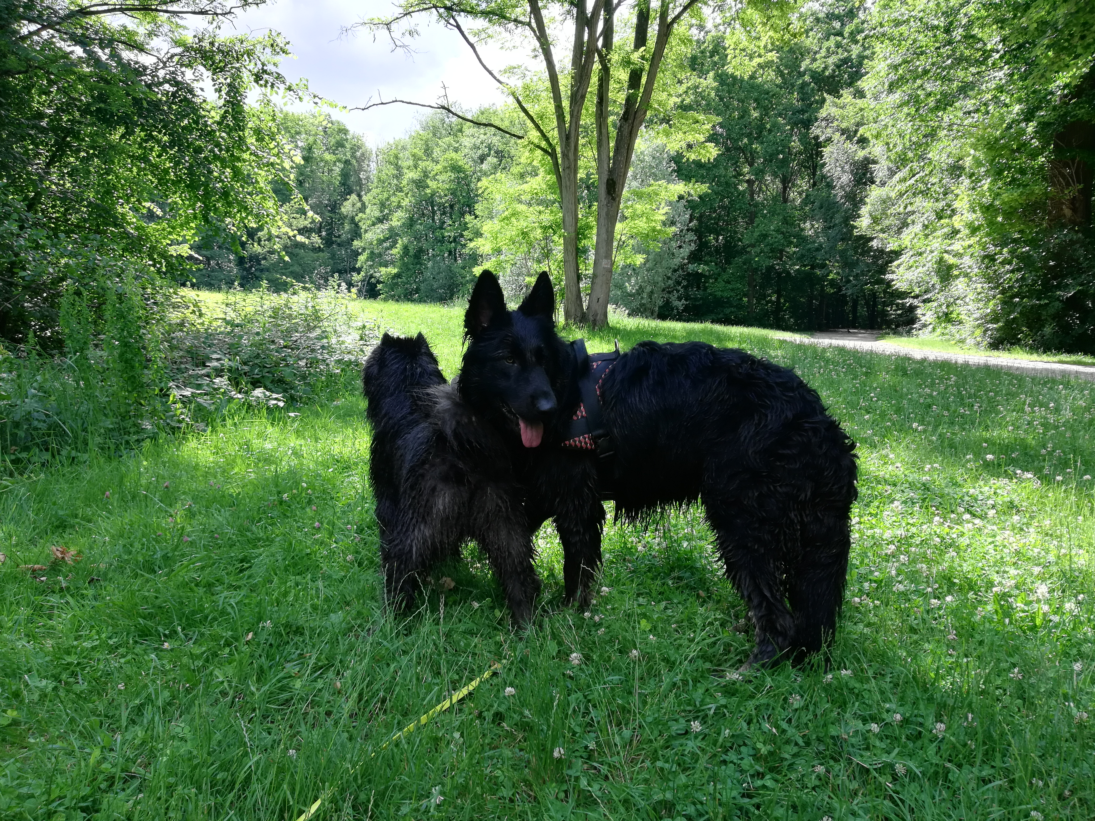 Photo n° 1 de l'avis de Valérie.r fait le 24/06/2019 à 10:07