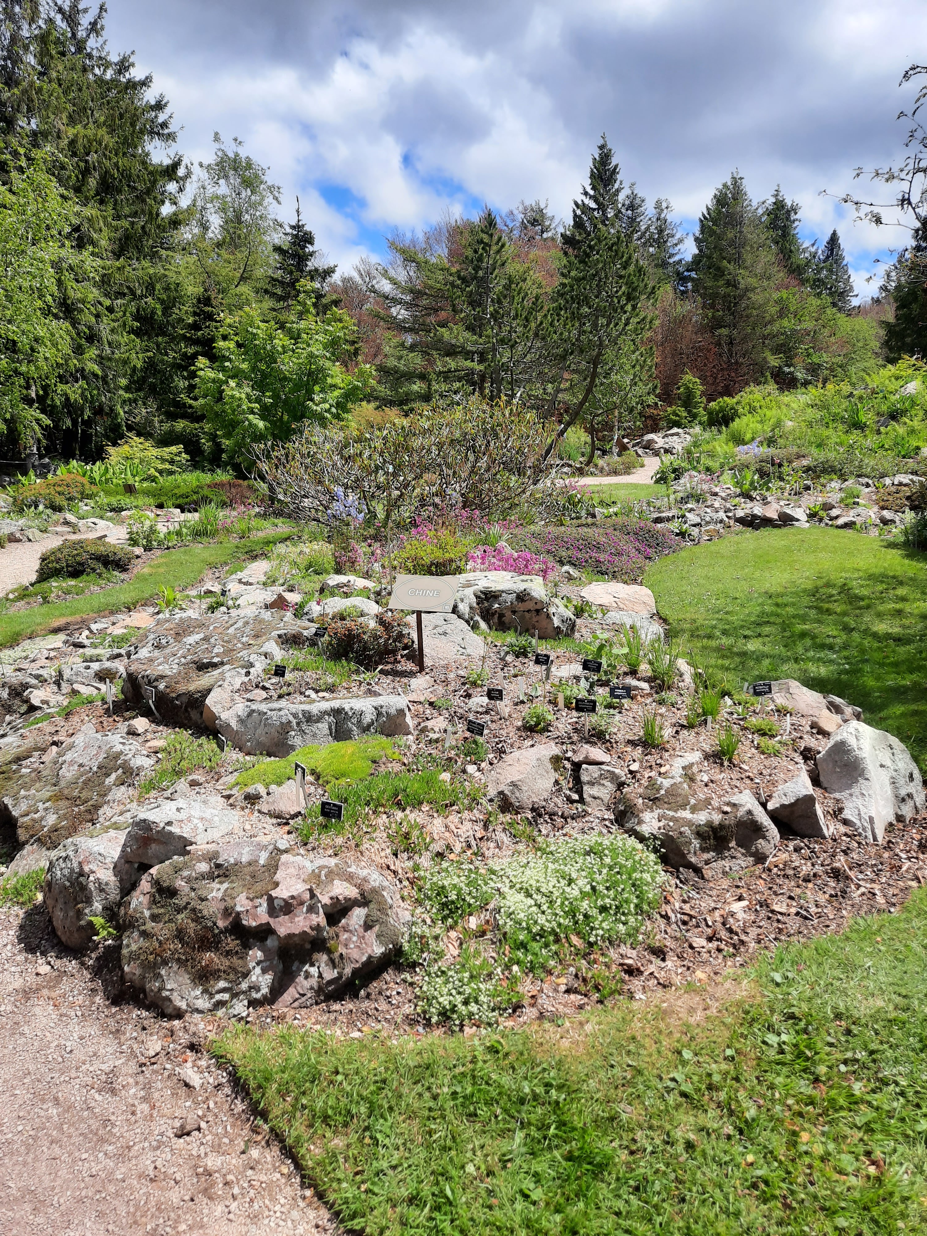 Photo n° 13 de l'avis de Victoria.e fait le 22/06/2020 à 21:37