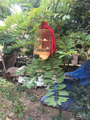 Top 20 chuỗi cửa hàng kepal Quận Hà Đông Hà Nội 2022