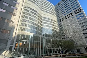 Mayo Clinic image