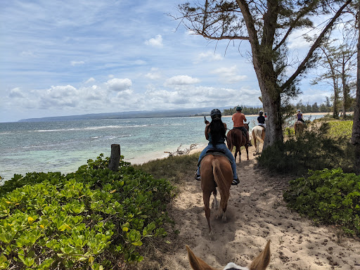 Oahu Horse Back Rides
